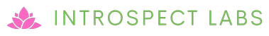 Introspect Labs LLP